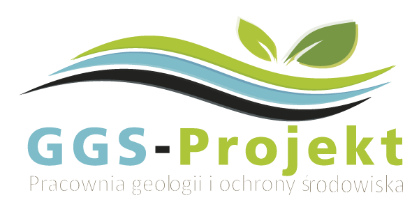 projektowanie stroninternetowych BMG-Sport 1