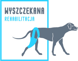 Logo - Wyszczekana rehabilitacja_RGB