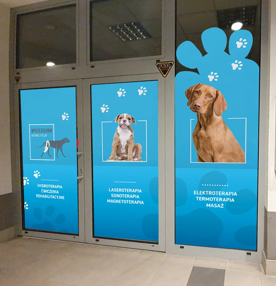 Witryna wyszcekana rehabilitacja