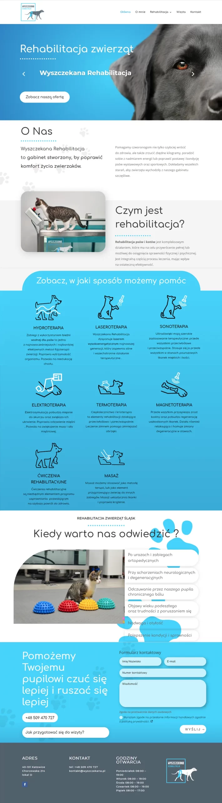 wyszczekana strona www Wyszczekana rehabilitacja www